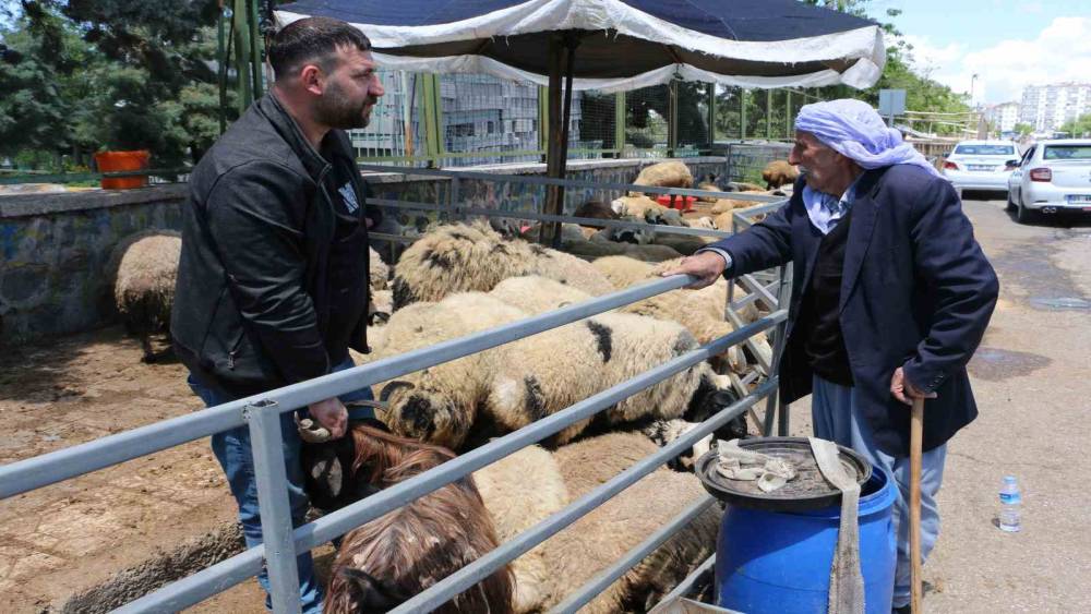 Kurban pazarında sessizlik: Satıcılar son g&uuml;nleri bekliyor
