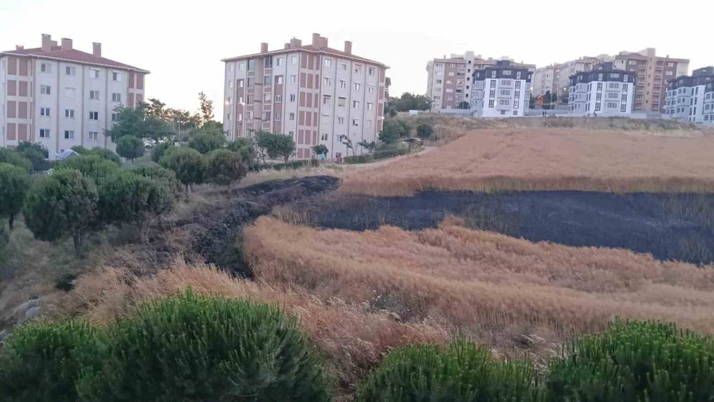Bandırma&rsquo;da buğday tarlası yangını korkuttu
