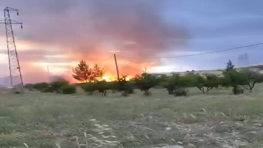 Elektrik direğinden &ccedil;ıktığı iddia edilen yangın buğday tarlasını k&uuml;le &ccedil;evirdi
