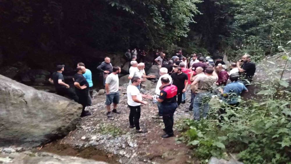 Ordu&rsquo;da u&ccedil;uruma yuvarlanan iki kardeş hayatını kaybetti
