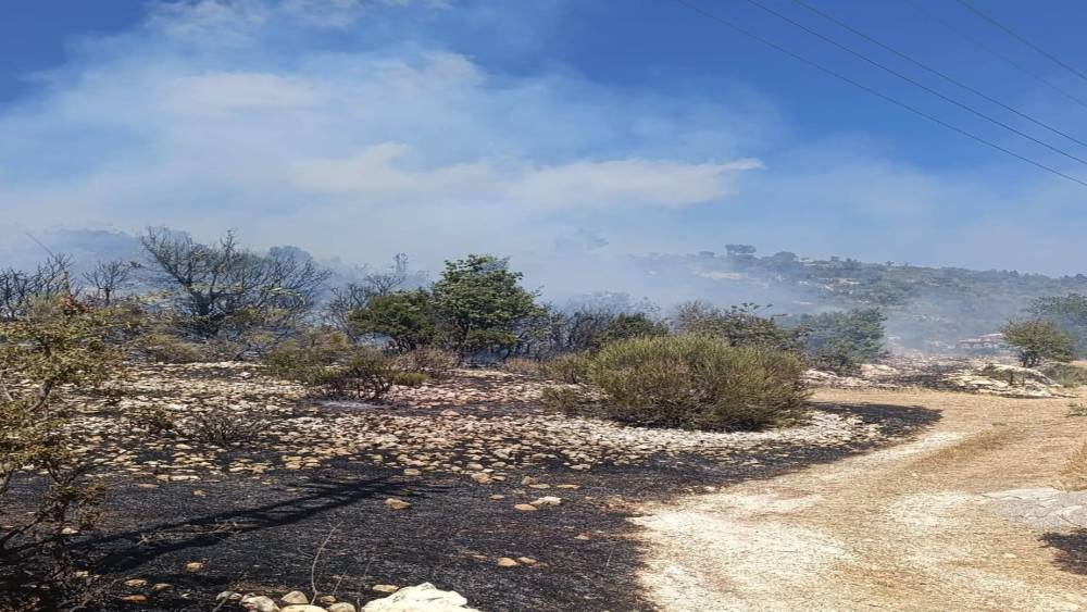 Silifke&rsquo;deki yangın evlere ulaşmadan kontrol altına alındı
