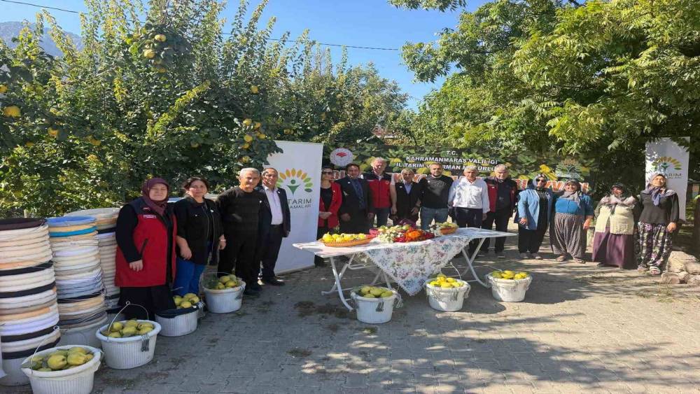 Kahramanmaraş&rsquo;ta ayva &uuml;reticilerine hasat desteği
