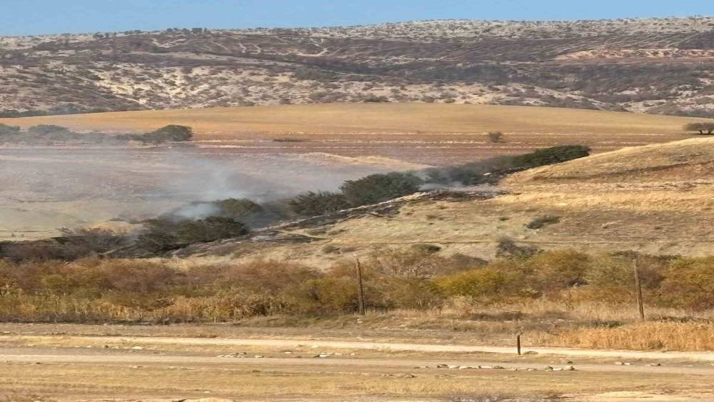 Ormanlık alanda korkutan yangın
