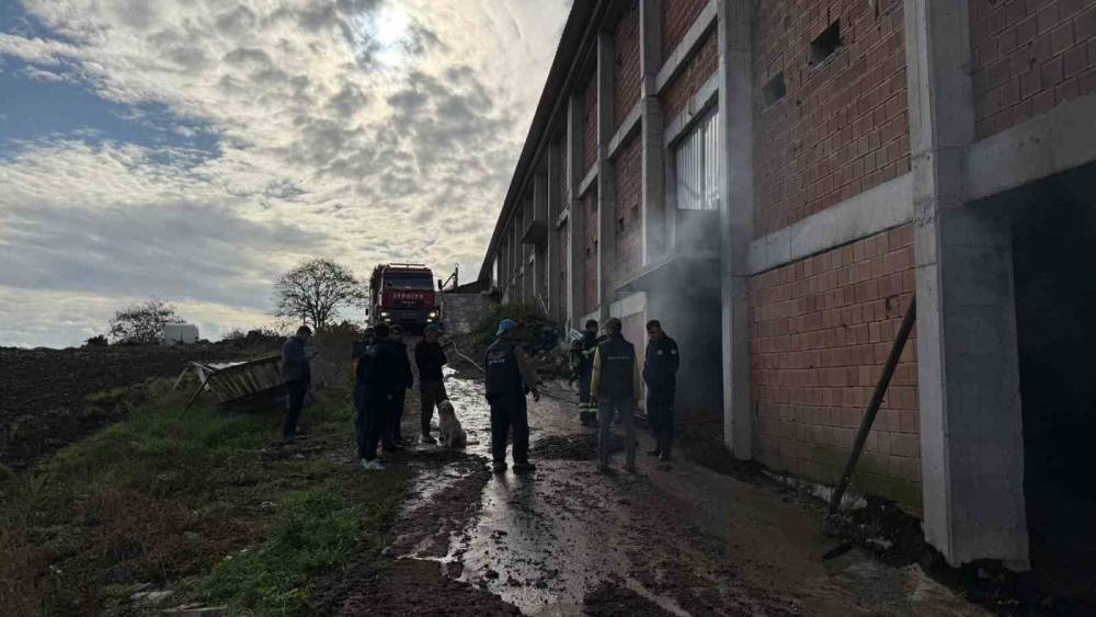 Tavuk çiftliğinin depo kısmında yangın
