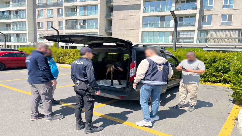 Avcılar&rsquo;da k&ouml;peğe k&ouml;t&uuml; muamelede bulunan şahıs yakalandı
