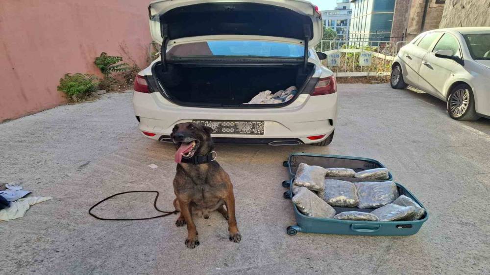 Balıkesir polisinden &rsquo;Narkorekor&rsquo;
