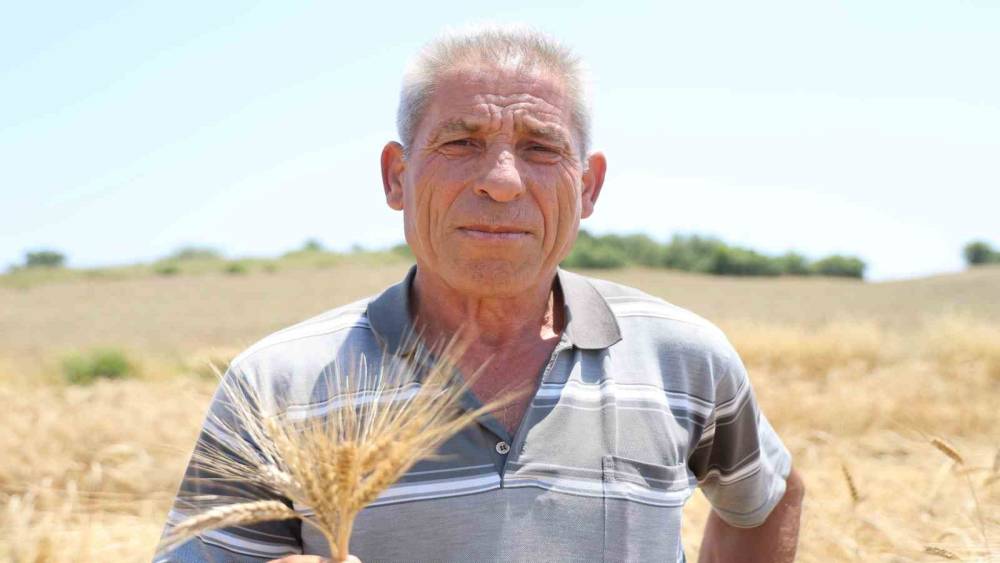 Adana&rsquo;da ata tohumu karakıl&ccedil;ık buğdayı yeniden &uuml;retime kazandırıldı
