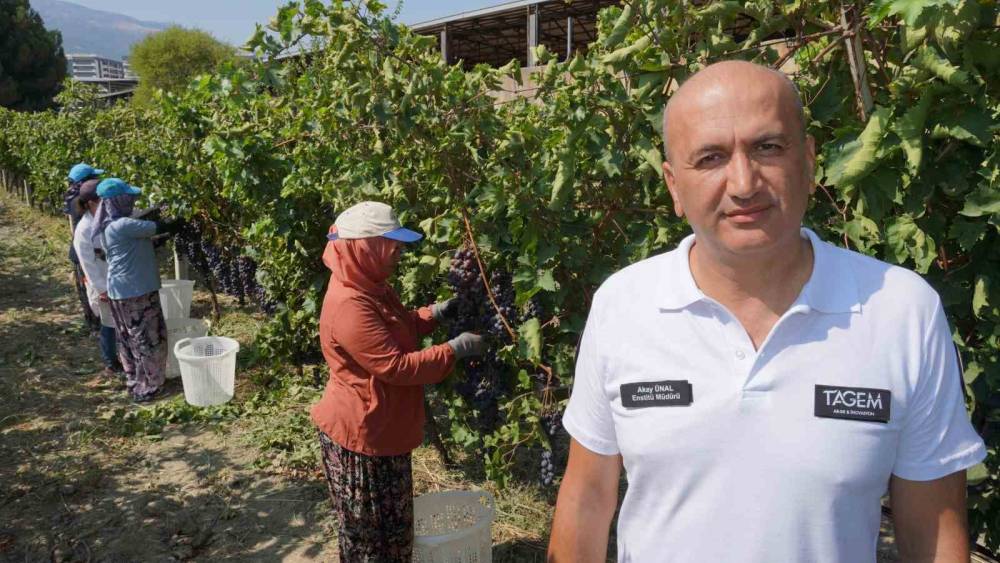 Manisa&rsquo;dan d&uuml;nyaya &uuml;z&uuml;m ihracatı başladı
