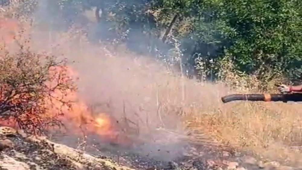 Diyarbakır&rsquo;da &ouml;rt&uuml; ve orman yangını
