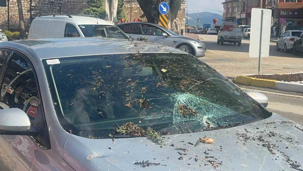 Fırtınada k&ouml;k&uuml;nden s&ouml;k&uuml;len ağa&ccedil; otomobilin &uuml;zerine devrildi
