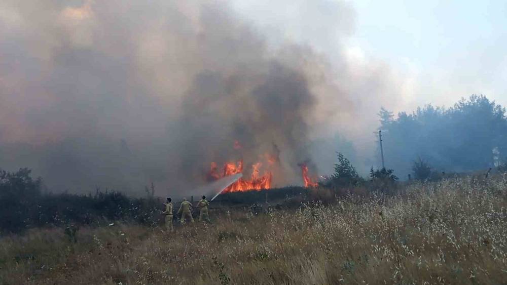 Muğla&rsquo;daki orman yangınında 1 kişi g&ouml;zaltına alındı
