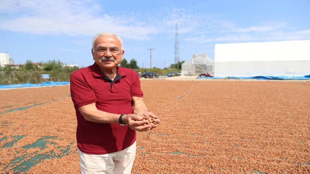 Başkan G&uuml;ler: "Fındığa hem bilimsel hem teknik yaklaşıyoruz"
