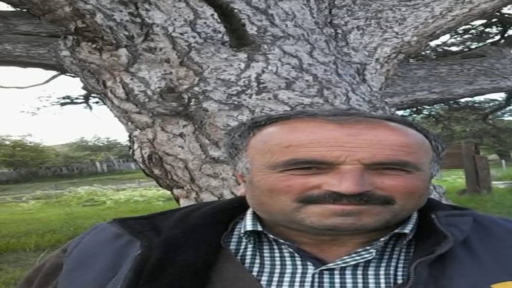 &Uuml;zerine ağa&ccedil; devrilen vatandaş hayatını kaybetti
