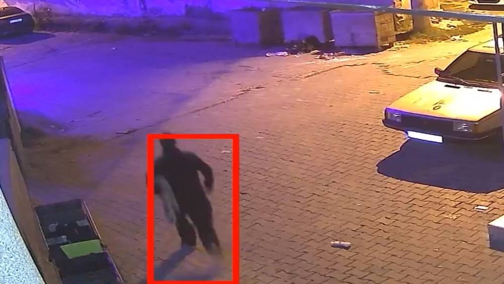 Halı hırsızlığı kamerada
