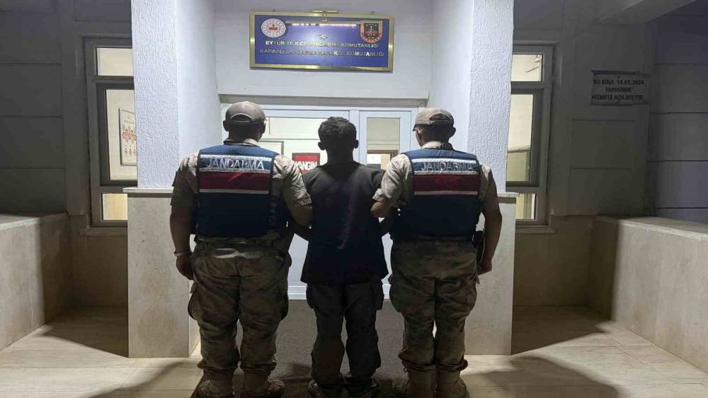 Şanlıurfa&rsquo;da jandarmadan g&ouml;&ccedil;men ka&ccedil;ak&ccedil;ılığı operasyonu: 20 g&ouml;zaltı
