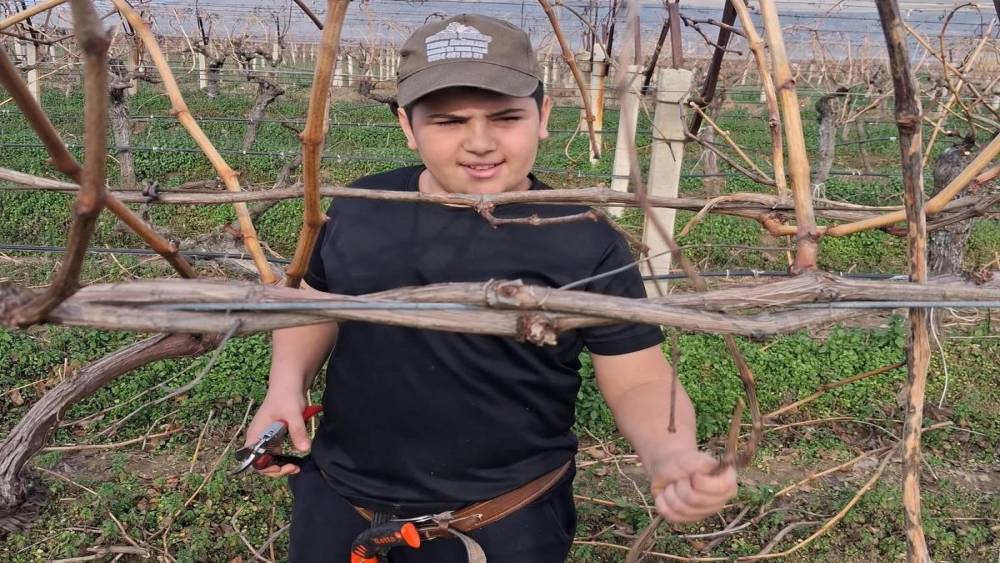 Yağmur bitti, &ccedil;ift&ccedil;i bağlara koştu
