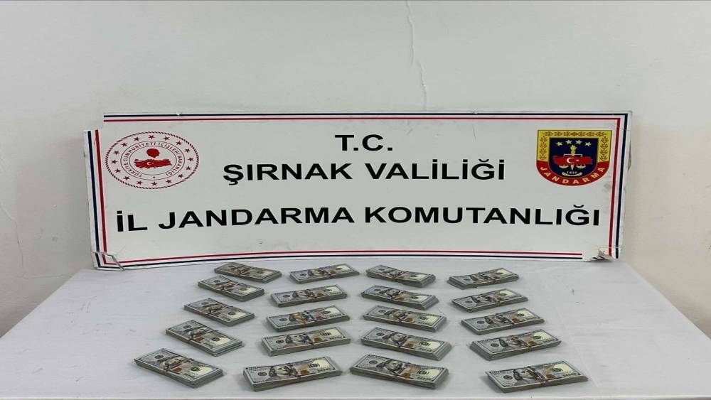 Şırnak&rsquo;ta jandarma ekiplerinden ka&ccedil;ak&ccedil;ılığa darbe
