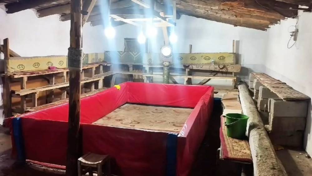 Muş&rsquo;ta horoz d&ouml;v&uuml;ş&uuml; yapan 23 kişiye ceza
