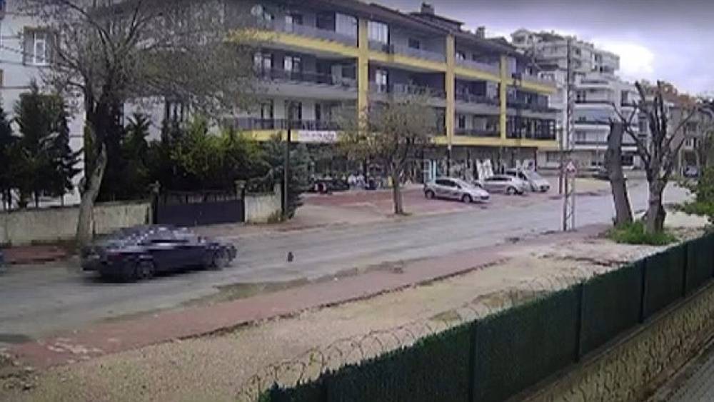 Otomobilin &ccedil;arpmasıyla &ouml;len kedinin yavrusu başından ayrılmadı
