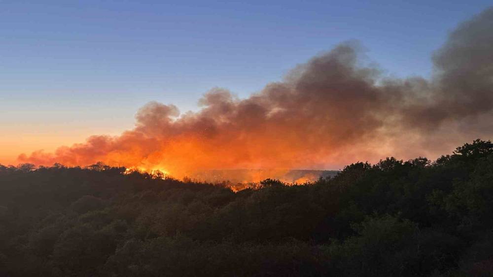 Beykoz&rsquo;da 3 hektarlık alan k&uuml;le d&ouml;nd&uuml;: Yangına m&uuml;dahale devam ediyor
