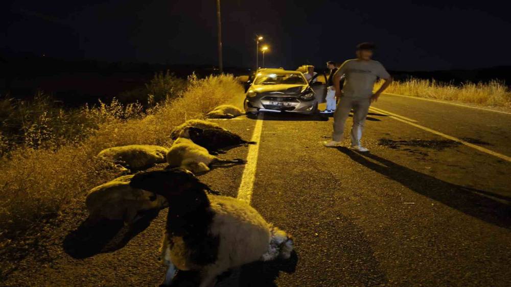 Diyarbakır&rsquo;da otomobil s&uuml;r&uuml;ye &ccedil;arptı: 10 koyun telef oldu
