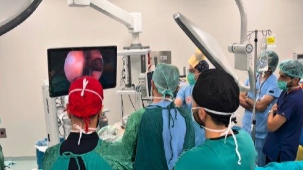 Rinoloji alanındaki g&uuml;ncel cerrahi yaklaşımlar Erzincan&rsquo;da ele alındı
