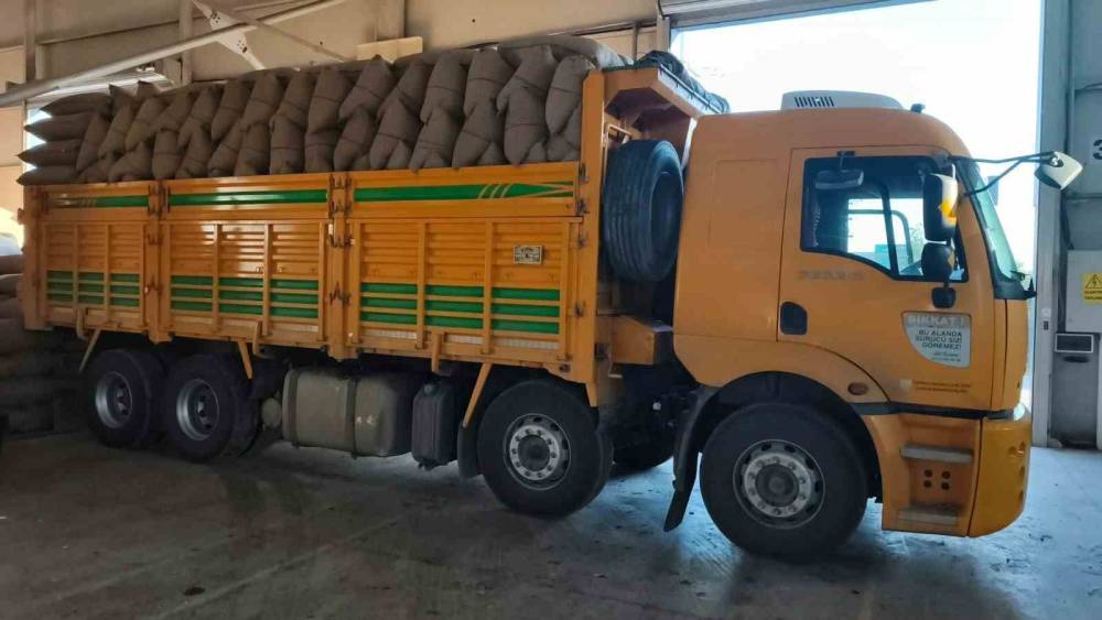 Kastamonu&rsquo;da fındık &uuml;reticisinden 100 tonun &uuml;zerinde fındık aldı
