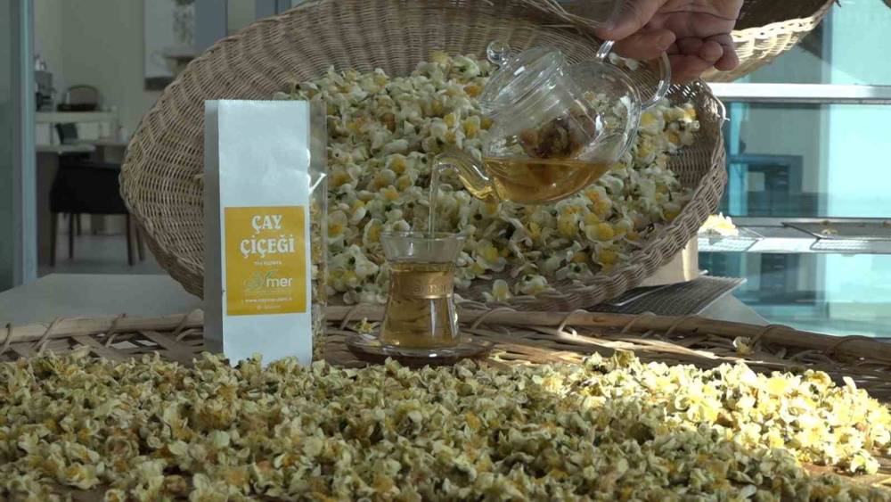 Çayın yeni ürünü ‘Çay çiçeği çayı’ 6 bin TL’den satılıyor
