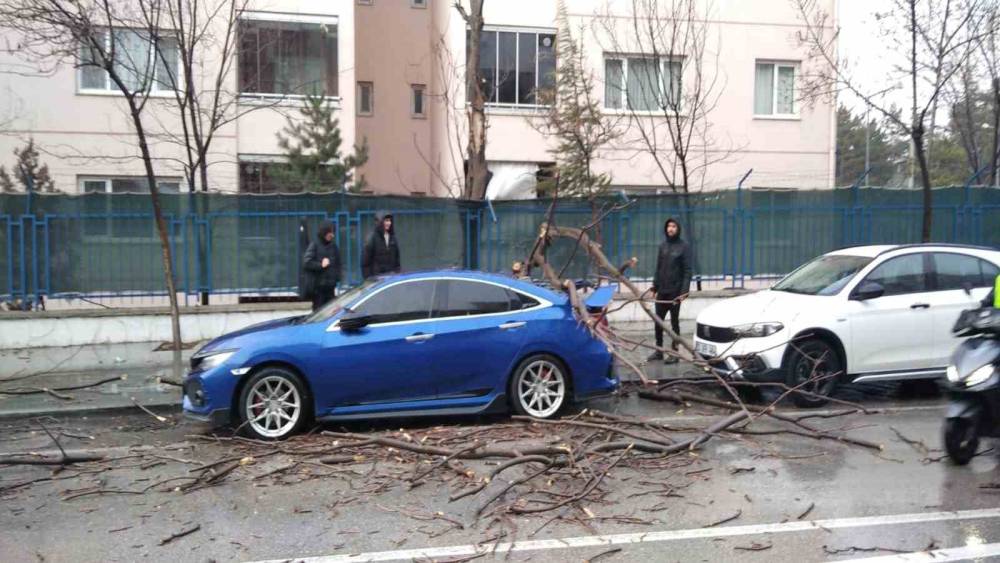 Isparta&rsquo;da fırtına ağa&ccedil;ları devirdi, ara&ccedil;lar hasar g&ouml;rd&uuml;
