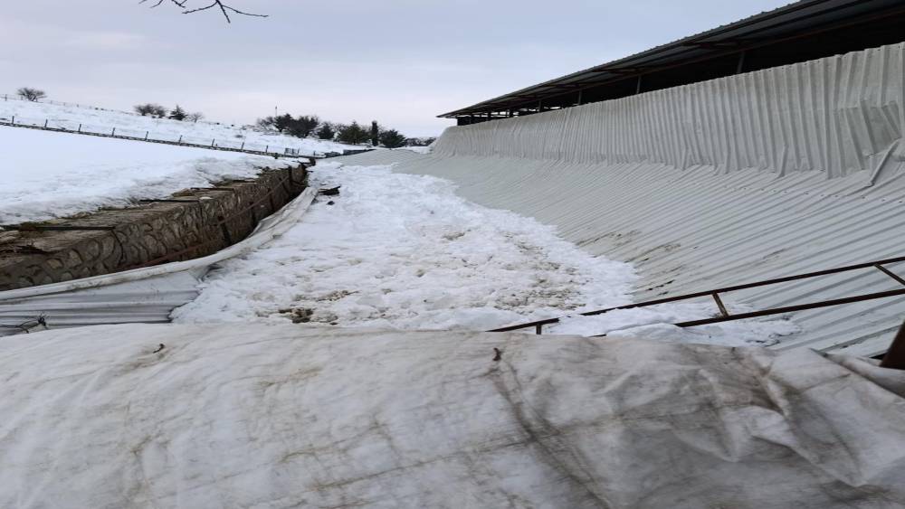 Elazığ&rsquo;da ahırın tavanı &ccedil;&ouml;kt&uuml;
