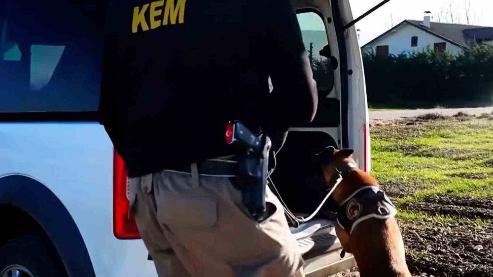 Bolu&rsquo;da 14 adrese uyuşturucu operasyonu: 3 tutuklama
