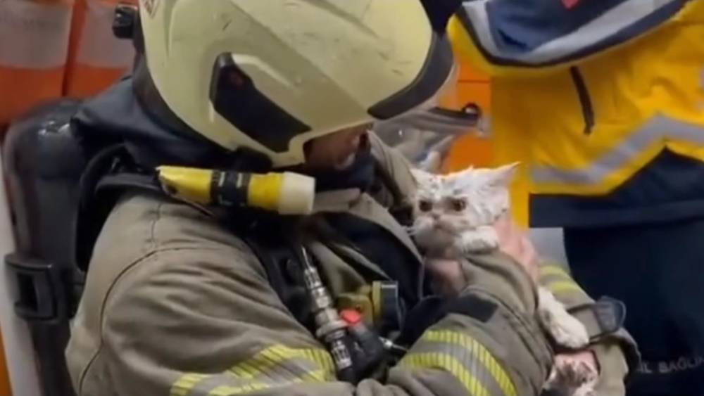 Fatih&rsquo;te metruk binada &ccedil;ıkan yangın yanındaki ahşap binaya sı&ccedil;radı: Bir kedi kurtarıldı
