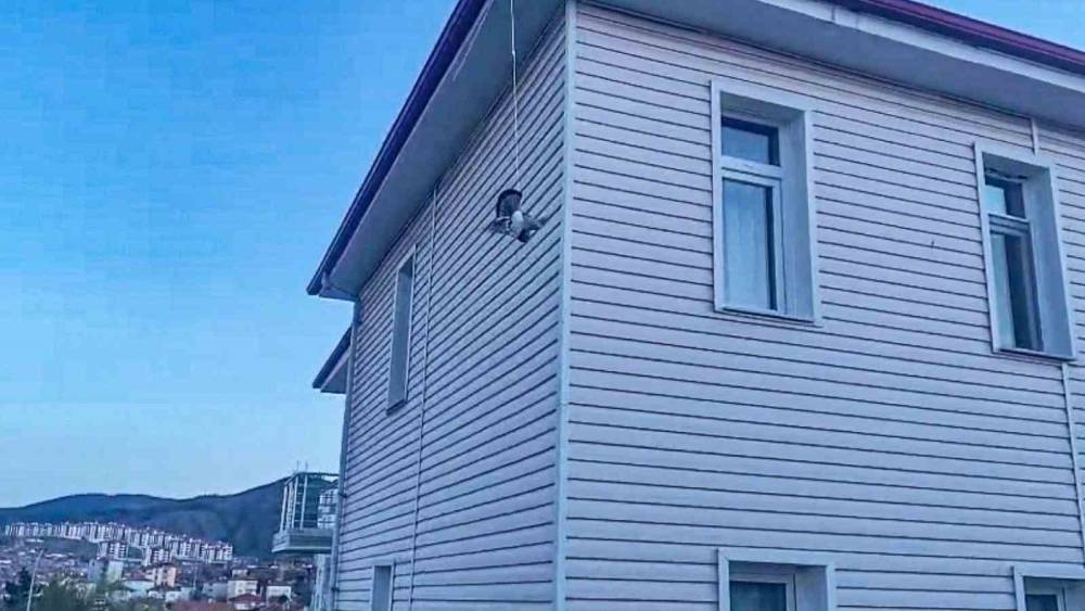 &Ccedil;orum&rsquo;da ipe takılan g&uuml;vercini itfaiye kurtardı
