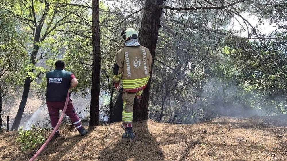İskenderun&rsquo;da orman yangını kontrol altına alındı
