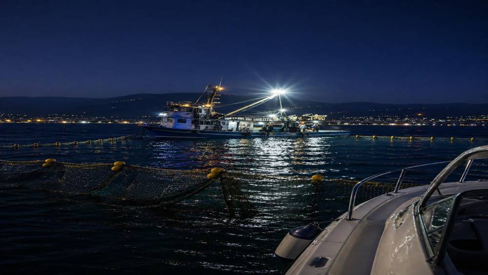 Gemlik K&ouml;rfezi&rsquo;nde sardalya avcılığı başladı
