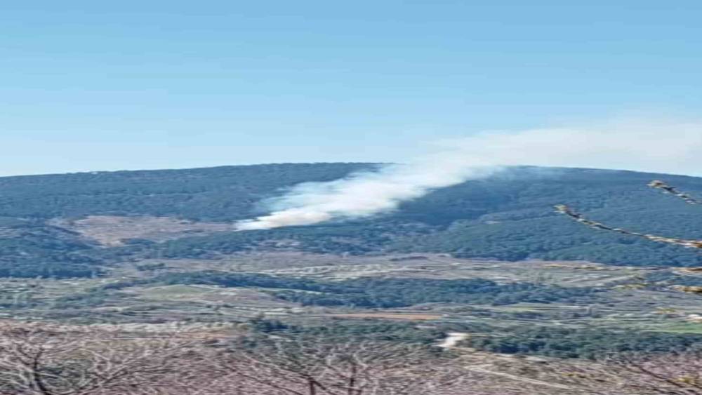 Nazilli&rsquo;de orman yangını
