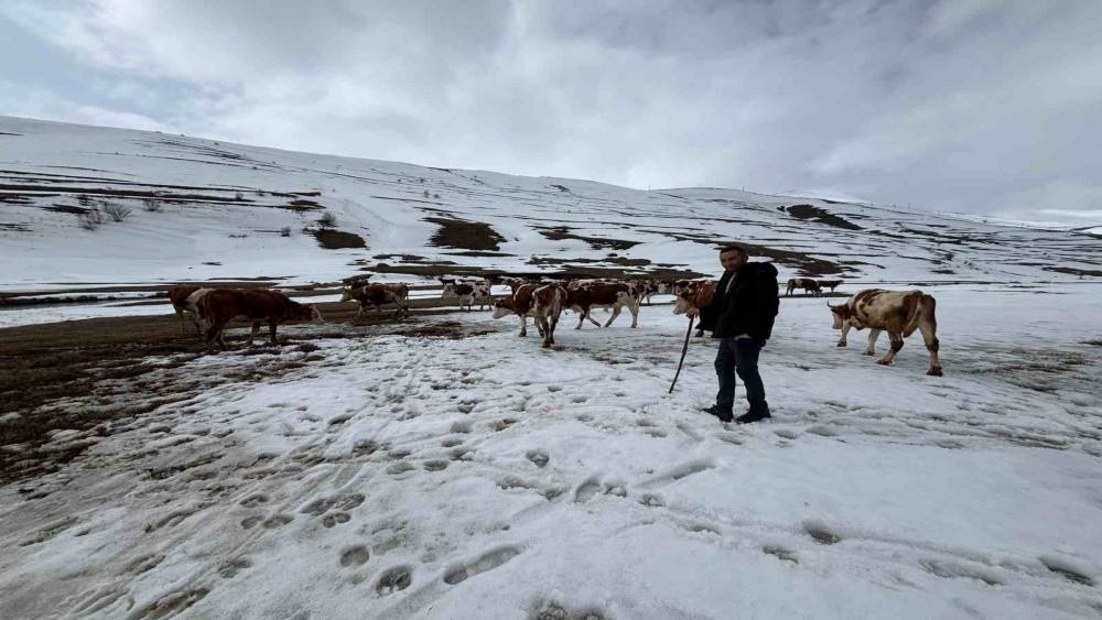 Ardahan&rsquo;da kış mevsiminin uzaması hayvancılığı vurdu
