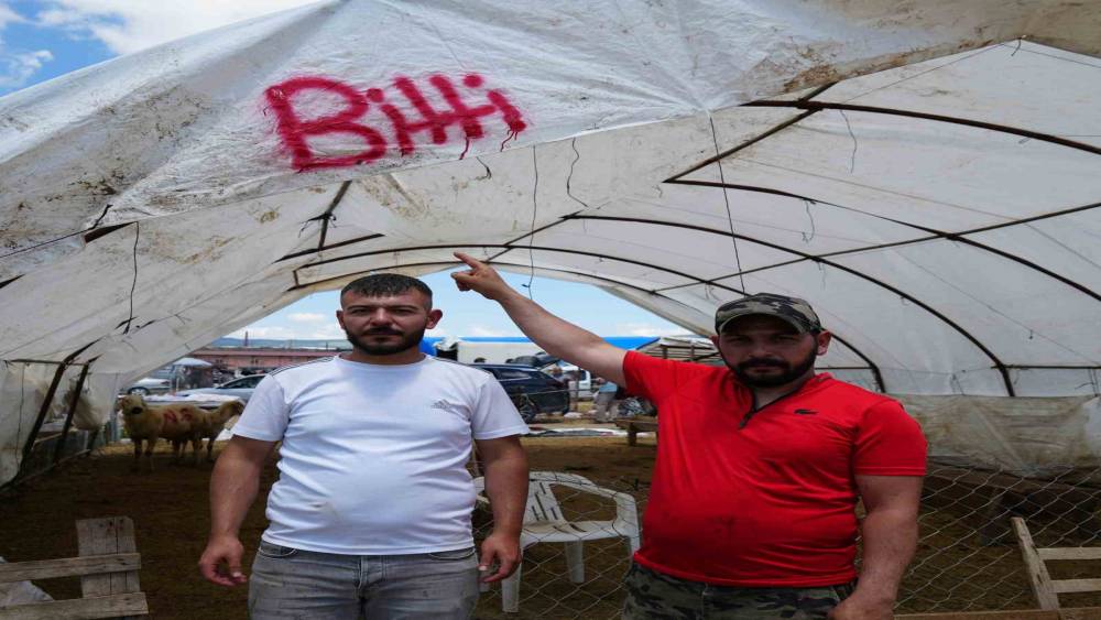 Kurbanlıklar alıcı buldu, yetiştirici bayrama mutlu girdi: "Dedikleri fiyata verdik, milleti kurbansız g&ouml;ndermedik"
