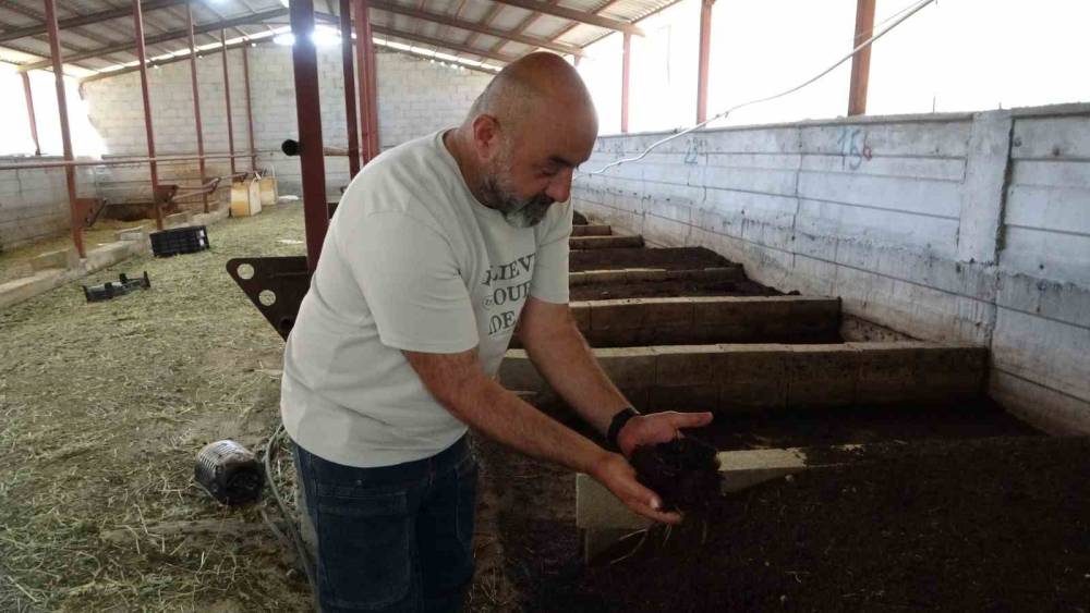 Bah&ccedil;esinde &uuml;rettiği solucan g&uuml;bresi gelir kaynağı oldu
