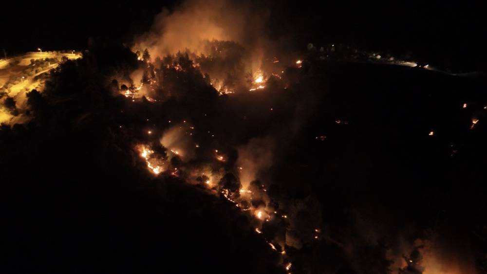 Adıyaman&rsquo;da orman yangını
