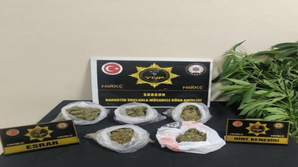 Yozgat&rsquo;ta 257 gram esrar ve 13 k&ouml;k Hint keneviri ele ge&ccedil;irildi
