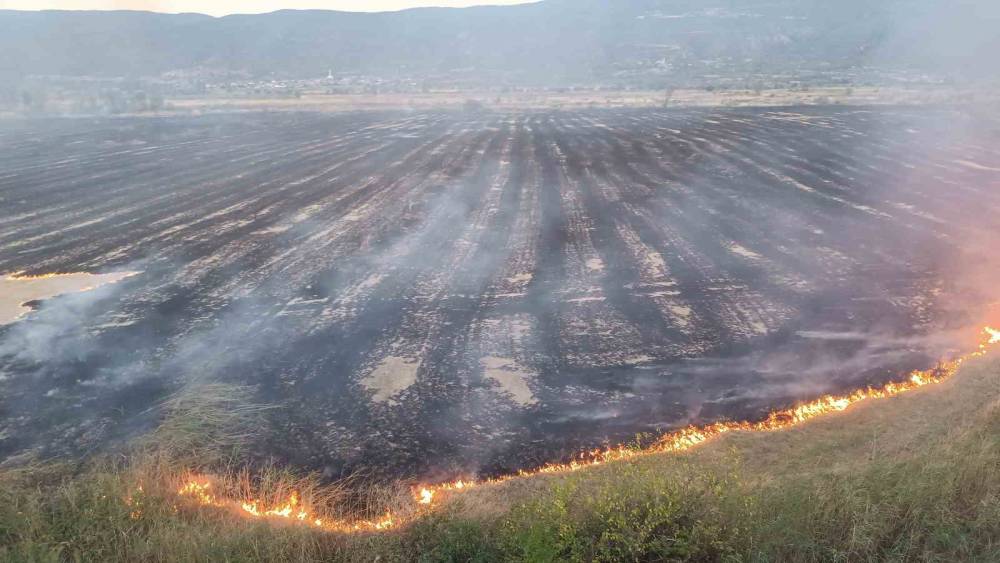 Kastamonu&rsquo;da &ccedil;ıkan &ouml;rt&uuml; yangınında 400 d&ouml;n&uuml;m alan zarar g&ouml;rd&uuml;
