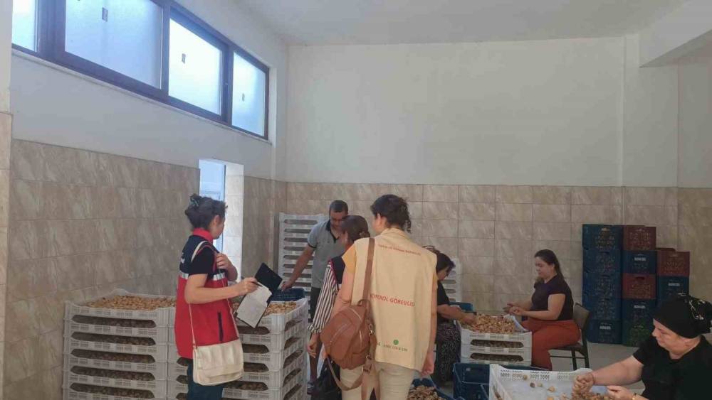 Aydın incirinin g&uuml;venilirliği i&ccedil;in sahada titiz denetim
