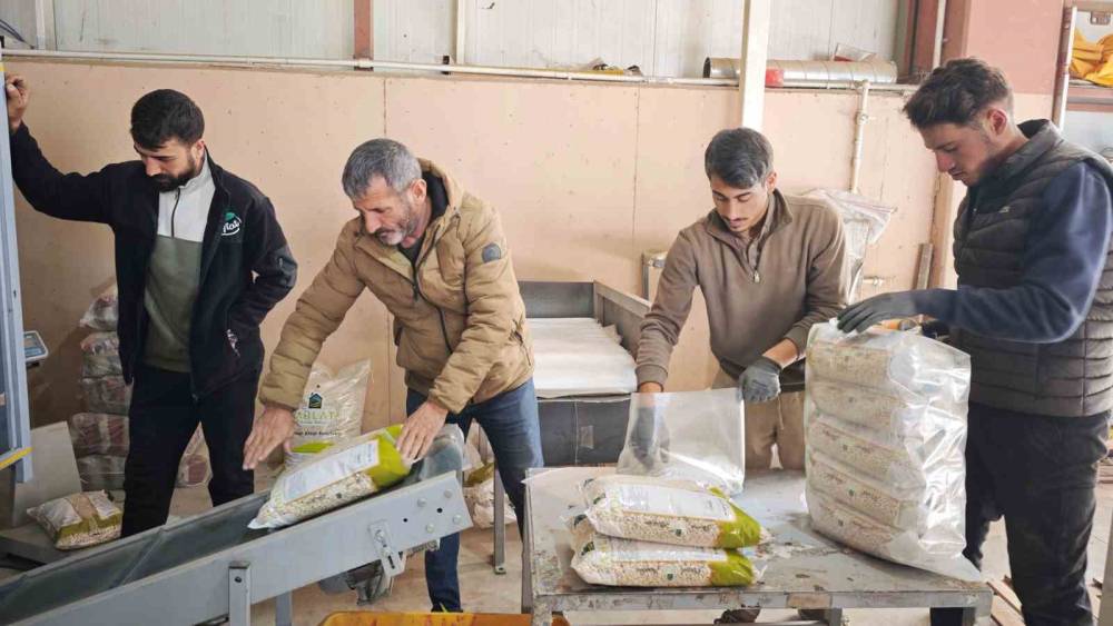 Bitlis, tohumluk kuru fasulye &uuml;retiminde T&uuml;rkiye birincisi

