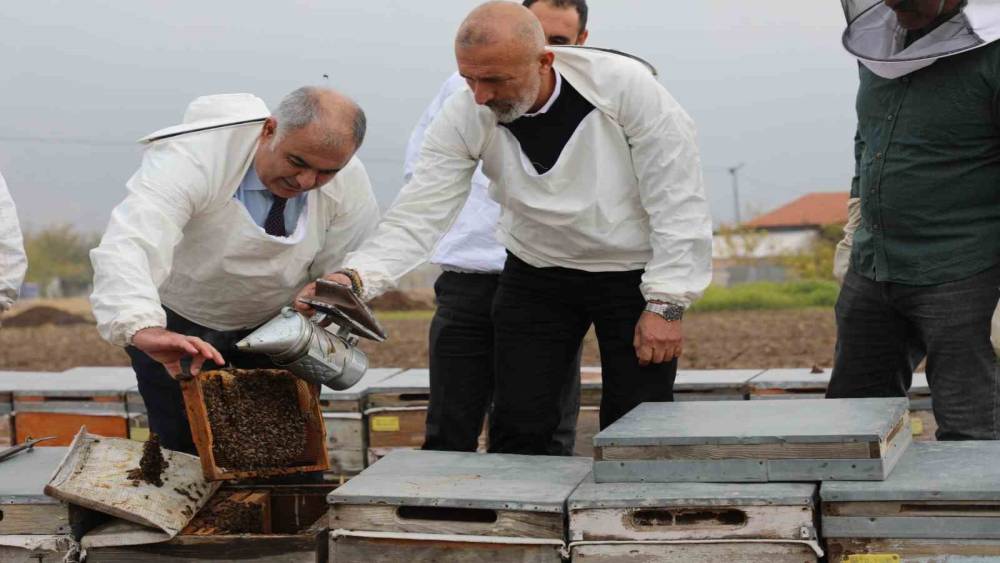 Elazığ arı kovanları incelendi
