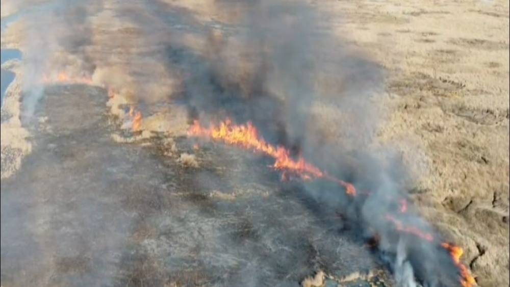 Van’da sazlık yangını
