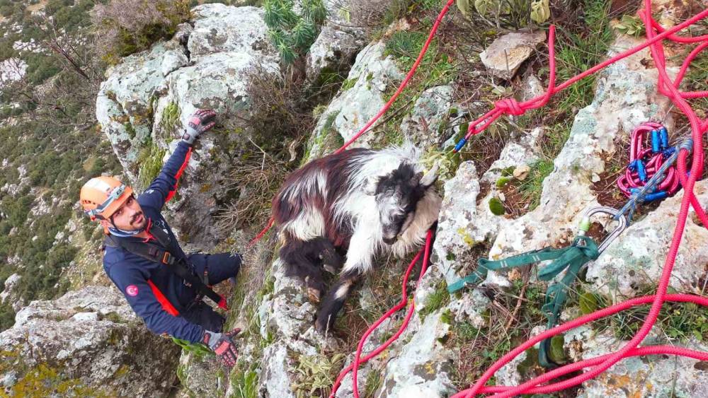 Dağda mahsur kalan ke&ccedil;i ekiplerce kurtarıldı
