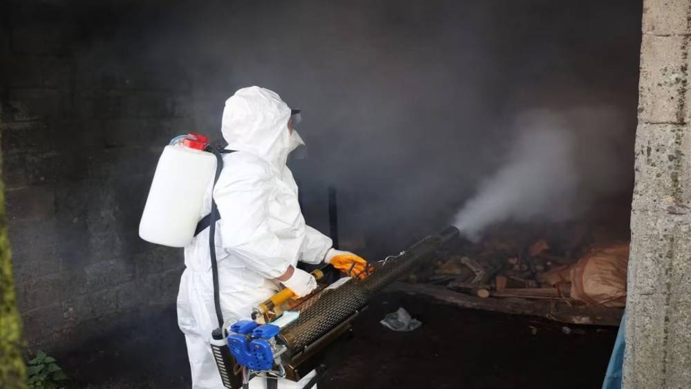 Ordu&rsquo;da kahverengi kokarcaya karşı 300 binden fazla kışlak ila&ccedil;lanıyor
