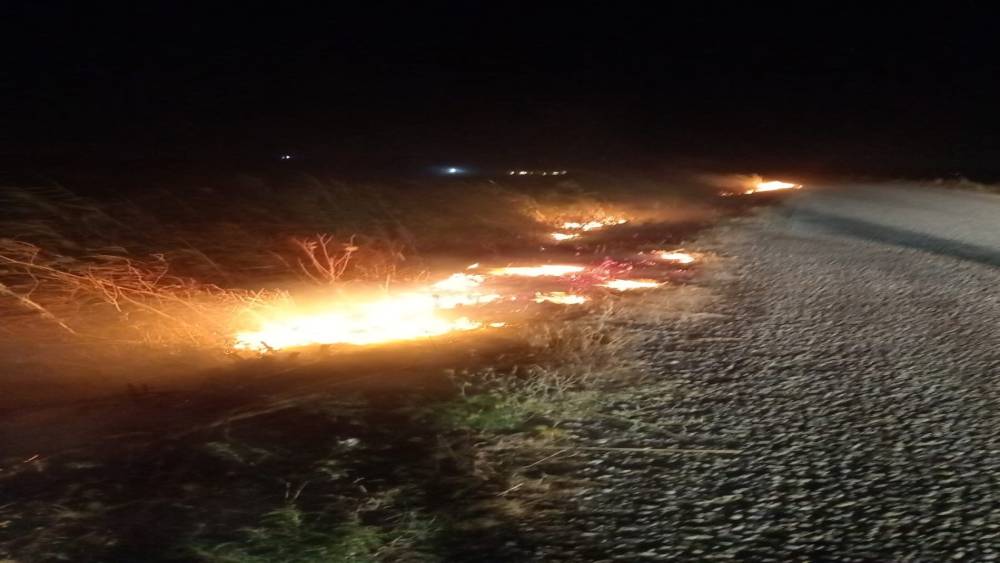 Ayvalık&rsquo;ta otluk alan yangını b&uuml;y&uuml;meden s&ouml;nd&uuml;r&uuml;ld&uuml;
