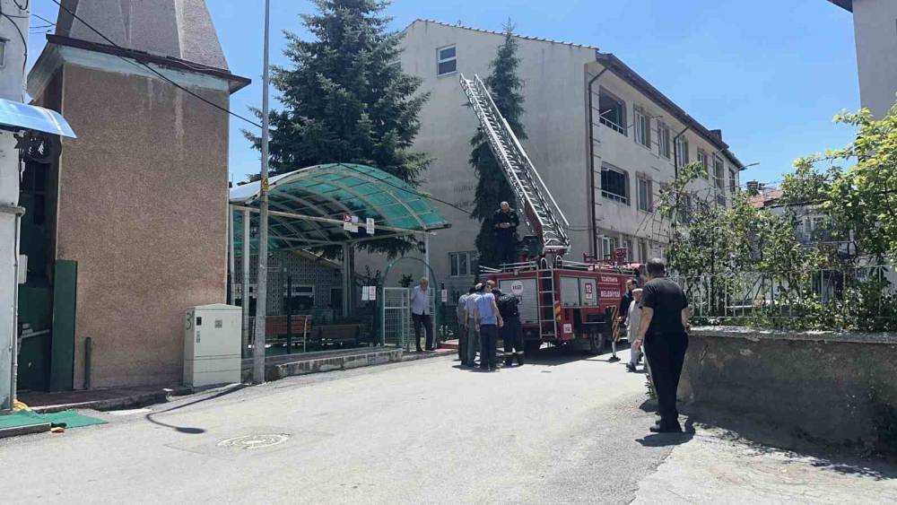 K&uuml;tahya&rsquo;da ağaca takılan ser&ccedil;e itfaiye ekiplerince kurtarıldı

